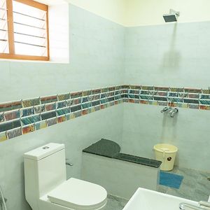Standard Bungalow